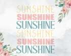 Sunshine Art Print
