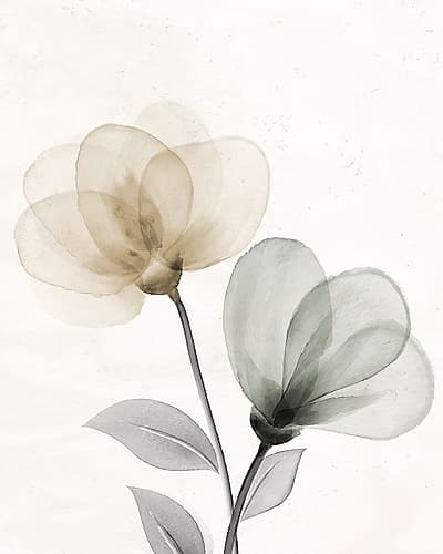 Open Bloom 1 Art Print