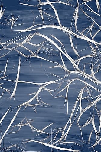 Branching Blue 1 Art Print by Kimberly Allen