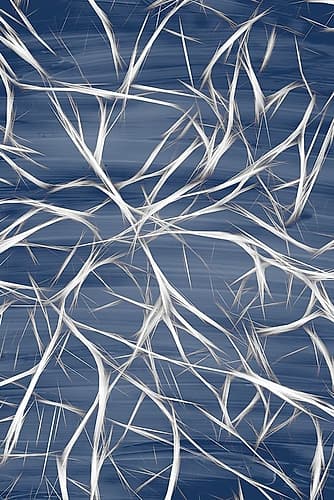 Branching Blue 2 Art Print by Kimberly Allen