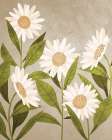 Daisies 2 Art Print