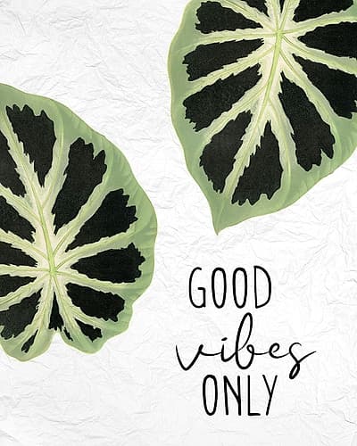 Good Vibes Leaves Inspirational Print