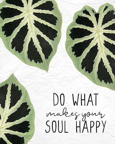 Your Soul Art Print