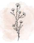 Floral Sketch 2 v2 Botanical Print