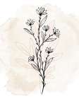 Floral Sketch 2 Art Print