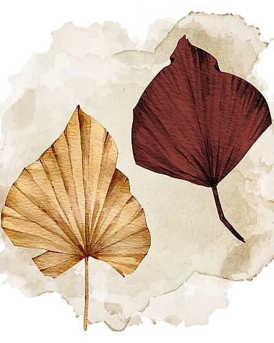 Fan 1 Nature Print