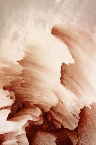 Upward 2 Art Print by Kimberly Allen