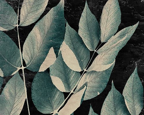 Dusty Leaves 1 Nature Print