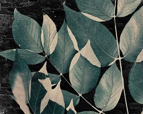 Dusty Leaves 2 Nature Print
