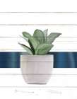 Pots 2 Botanical Print