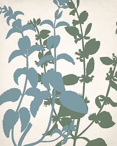 Grow 2 Nature Print