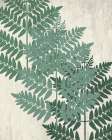 Fern 1 Greens Art Print