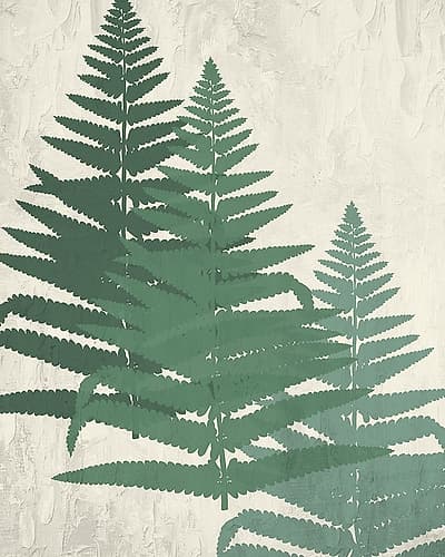 Fern 2 Greens Nature Print