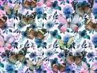 Floral Butterflies Art Print