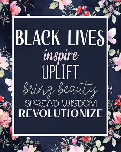 Inspire 2 Art Print