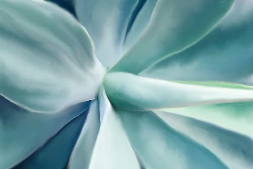 Agave Art Print by Kimberly Allen