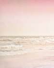Beach Pink 1 Art Print