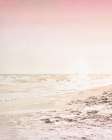 Beach Pink 2 Art Print
