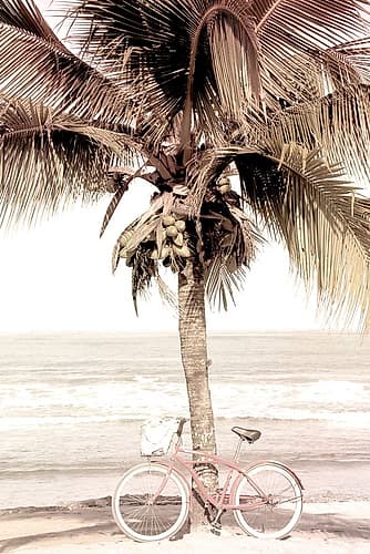 Beach Ride Coastal Print