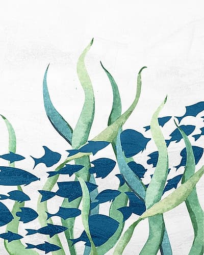 Bayside 7 Coastal Print