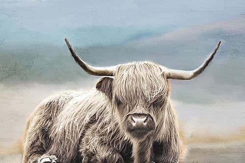Highland Nature Print