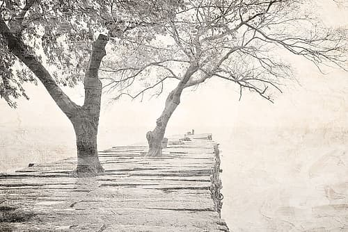 Tree Pier Nature Print