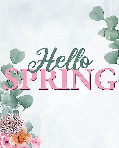 Hello Spring Art Print