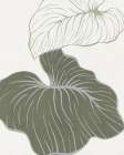 Serenity Palm 2 Art Print