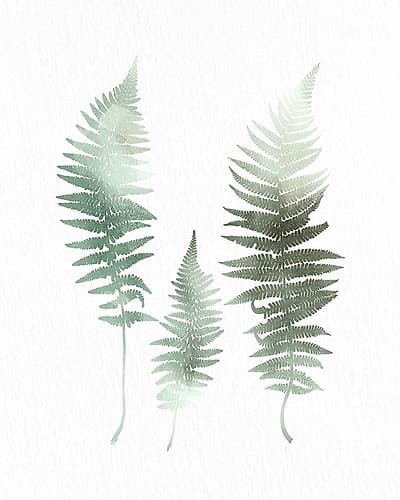 Watercolor Greens 1 Nature Print