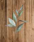 Leaf Wood 1 Botanical Print