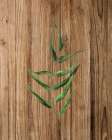 Leaf Wood 2 Botanical Print