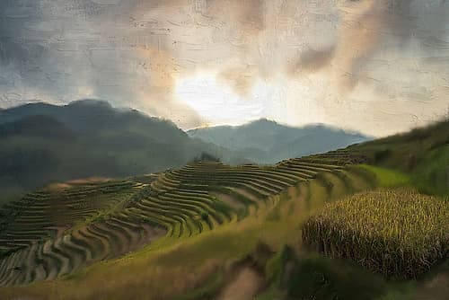 Rich Fields Landscape Print