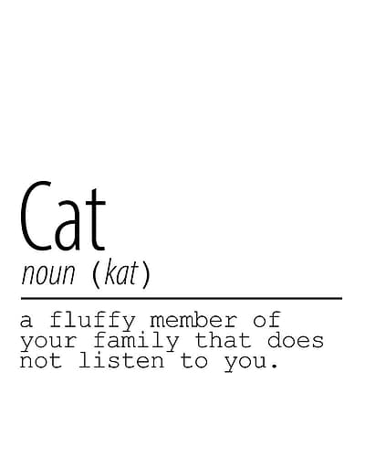 Cat Noun Art Print