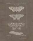 Vintage Insect 1 Art Print