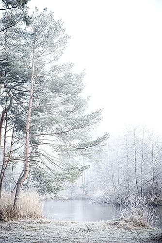 Silence Landscape Print