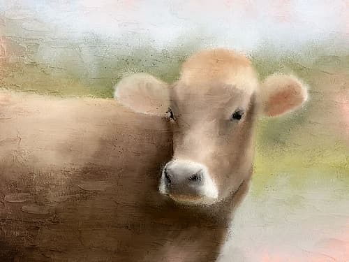 Bessie Art Print by Kimberly Allen