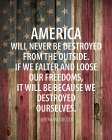 America Will Never Art Print
