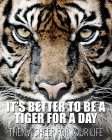 A Tiger for a Day Art Print
