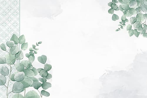Eucalyptus Mood 3 Art Print by Kimberly Allen