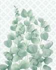 Eucalyptus Mood 4 Art Print