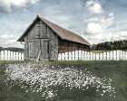 White Fence Art Print