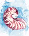 Coast Shell Pastel 1 Art Print
