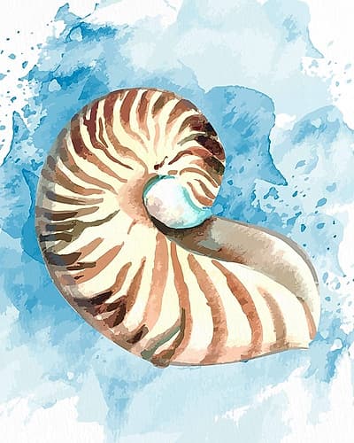 Coast Shell 1 Coastal Print