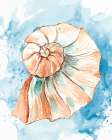 Coast Shell 2 Art Print