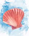 Coast Shell Pastel 3 Art Print