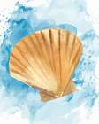 Coast Shell 3 Art Print