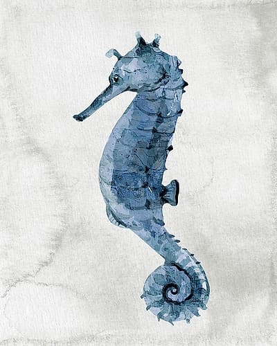 Sea Life 1 Art Print