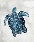 Sea Life 2 Art Print