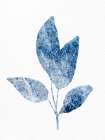 Marble Leaf 1 Botanical Print