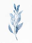 Marble Leaf 2 Botanical Print
